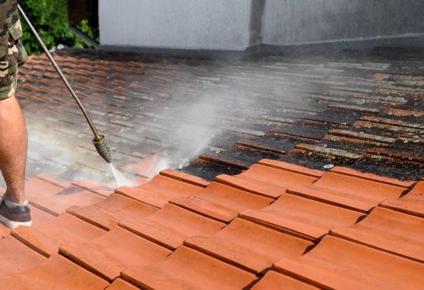 Best Concrete Pressure Washing  in Yalaha, FL