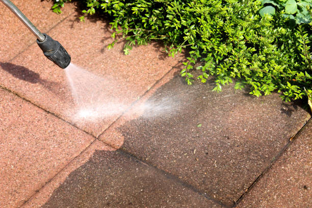 Yalaha, FL Pressure Washing Company