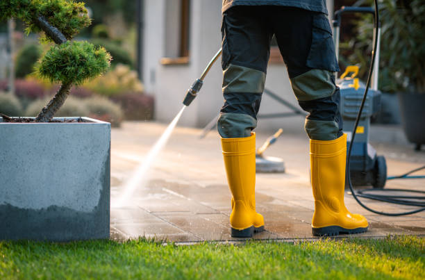 Best Pressure Washing Patio  in Yalaha, FL